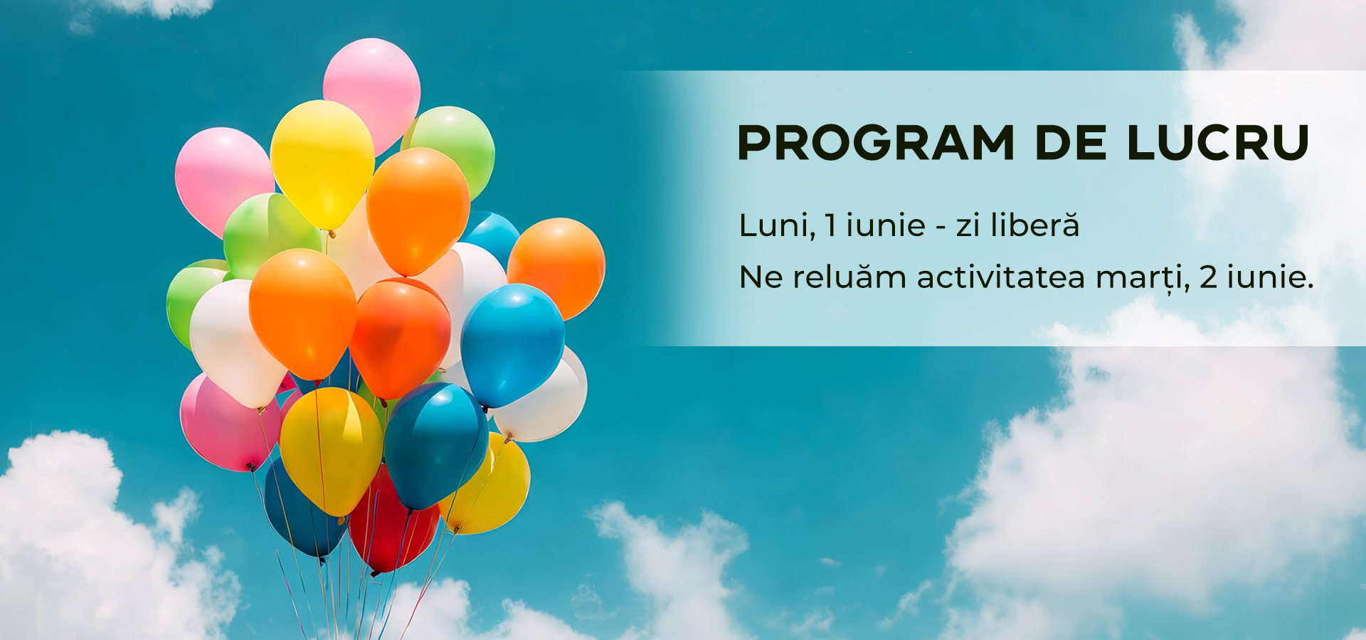 Program sarbatori