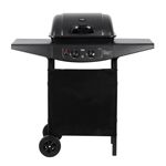 GRILL 2 ARZATOARE GAZ BBQ 2000 TEESA