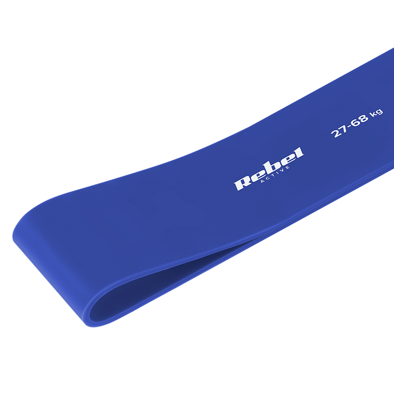 RBA-3001-6 imagine 2