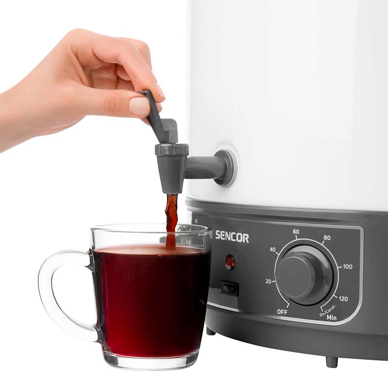 S-SPP2100WH imagine 9